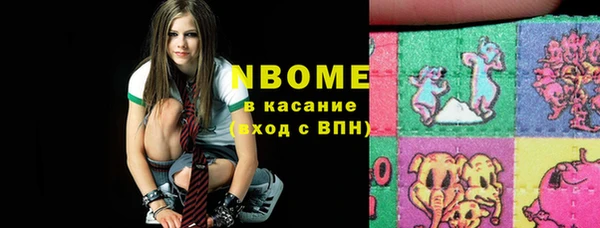 прущие грибы Аркадак