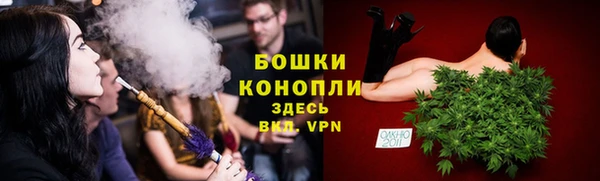 прущие грибы Аркадак