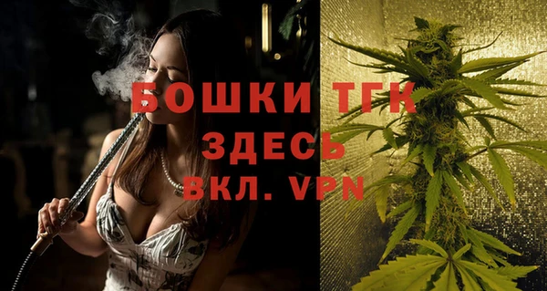 прущие грибы Аркадак