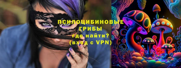 спиды Арсеньев
