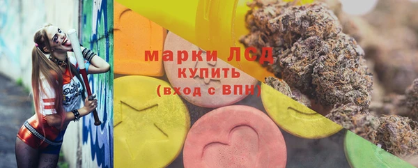 прущие грибы Аркадак