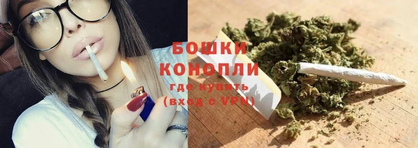 прущие грибы Аркадак