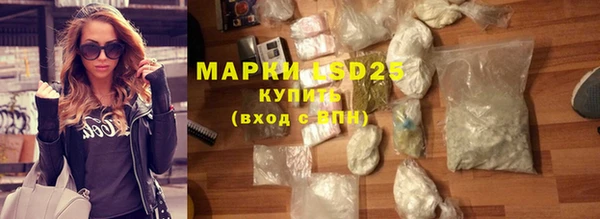 прущие грибы Аркадак